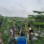 Keberhasilan Budidaya Melon Urban Farming Korem 051/Wijayakarta