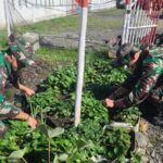 Lahan Kosong Disulap Menjadi Lahan Ketahanan Pangan