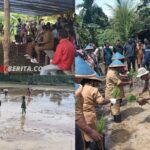 Penyuluhan dan Penanaman Padi di Distrik Yembun