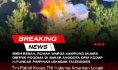 Bikin Resah, Rumah Warga Kampung Muara Distrik Pogoma di Bakar Anggota OPM Kodap III/Puncak Pimpinan Lekagak Talenggen