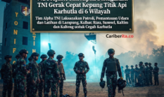 442 Prajurit Tim Alpha Disiagakan! TNI Gerak Cepat Kepung Titik Api Karhutla di 6 Wilayah