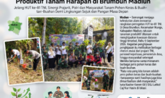 Kado HUT ke-81 TNI untuk Bumi! Ratusan Pohon Produktif Tanam Harapan di Brumbun Madiun