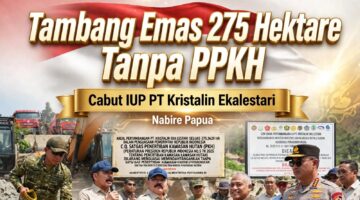 Tambang Emas Tanpa PPKH Seluas 275 Hektare di Nabire, Jaksa Agung Cabut IUP PT Kristalin Ekalestari